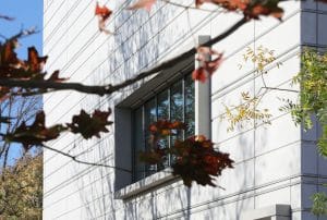 Bauhausmuseum Weimar Detail Fassade